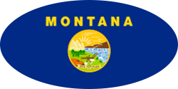 ellipse montana flag logo