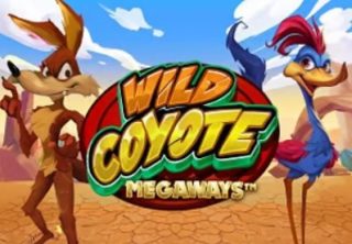 wild coyote megaways slot 