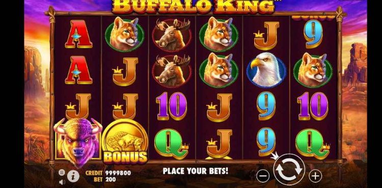 buffalo king slot interface