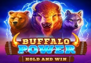 buffalo power hold and win slot logo 