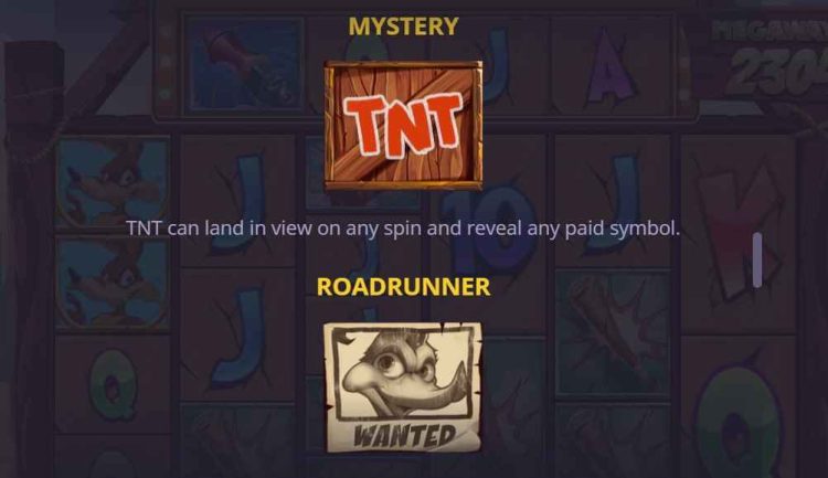 mystery and roadrunner symbols in wildcoyote