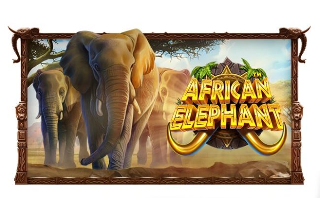 african elephant slot logo