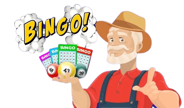bingo mr sweepstakes