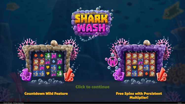 Shark-Wash-Slot-Interface