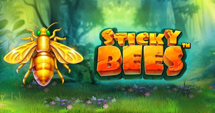 sticky bees slot interface