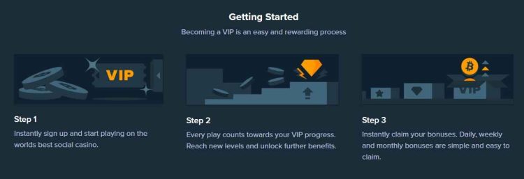 getting started vip program stake usa