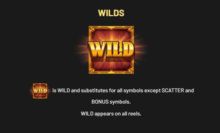 wild symbol tycoons billionaire bucks hold and win